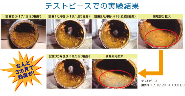 �e�X�g�s�[�X�ł̌��،���