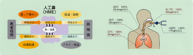 �C���[�W�}